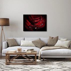 Kép - Rózsa részlete (üvegen) (70x50 cm)