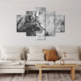 Kép - Macska (150x105 cm)