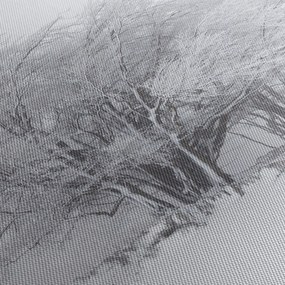 Kép - fehér tél (70x50 cm)
