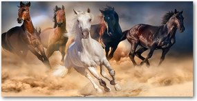 Fotótapéta üvegfalra Lovak a galoppban 140x70
