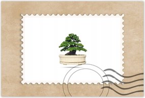Poszterek 60x40 Bonsai fa