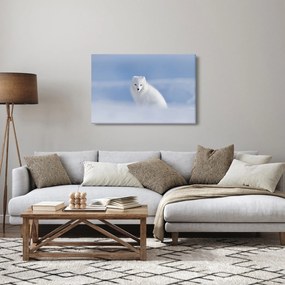 Kép - Sarki róka (90x60 cm)