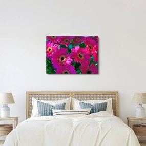 Kép - virágok (70x50 cm)