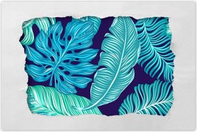 Poszterek 120x80 Levelek Monstery Trópusok