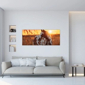 Kép - Ló naplementében (120x50 cm)