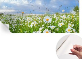 Öntapadós Dekoratív Fotótapéta Hálószobába Nyári rét 250x104 cm