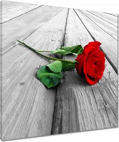 Vászonkép 60x60 Vörös rózsa a deszkákon