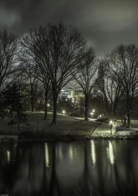 Poszter 29,7x42cm Central Park éjszaka 2, Assaf Frank