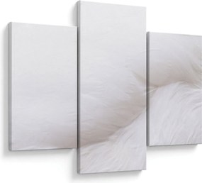 Kép - A toll részlete (90x60 cm)