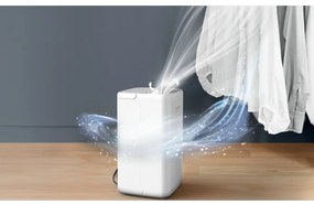 Rowenta - Párátlanító EXTREME DRY COMPACT 3 l 300W/230V