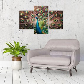 Kép - Páva (90x60 cm)