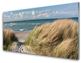 Üvegfotó Beach Sea Grass Landscape 100x50 cm 2 fogas