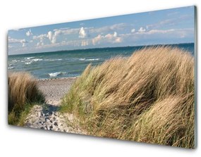 Üvegfotó Beach Sea Grass Landscape 140x70 cm