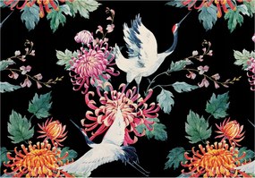 Flizelin fotótapéta Daruk és krizantémok sötét háttér 368x254 +ragasztó