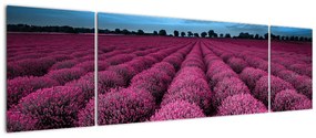 Modern képek - virágok  (170x50cm)