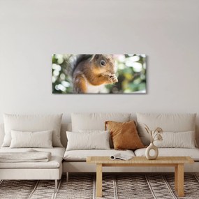 Mókus képe (120x50 cm)