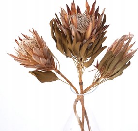 Protea king természetes, szárított virágok, szárított egzotikus szárított protea