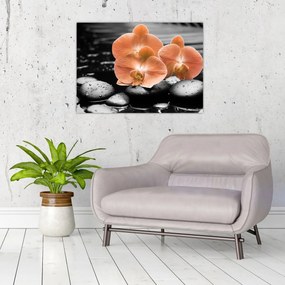 Üveg kép - Narancssárga orchideák (70x50 cm)