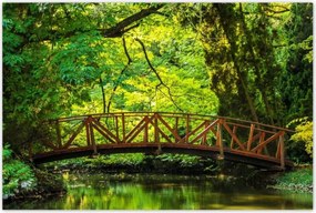 Poszterek 120x80 Fa híd