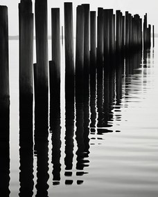 Poszter 40x50cm Víz és fa ritmusa