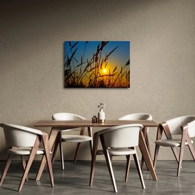 Kép - naplemente a réten (70x50 cm)