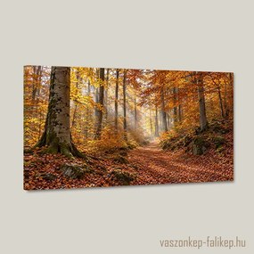 Őszi Fényösvény vászonkép – élénk színek 40x23 cm
