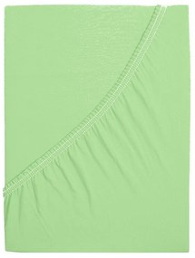 4Home jersey lepedő Ideal zöld , 160 x 200 cm, 160 x 200 cm