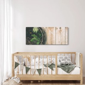 A pozsgás növények képe üvegben (120x50 cm)