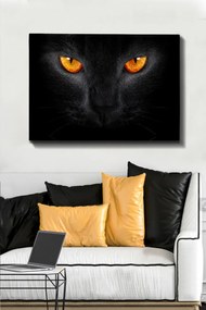 Kanvas vászonkép, 70×100 cm – TR529TCR1599
