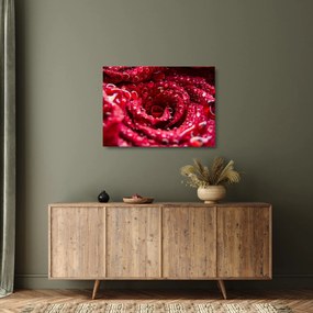 Vörös rózsa virágzata képe (üvegen) (70x50 cm)