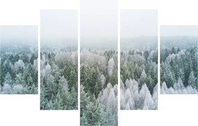 Kép - Havas erdőcsúcsok (150x105 cm)