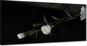 Vászonkép 180x90 Fehér szegfű virágok