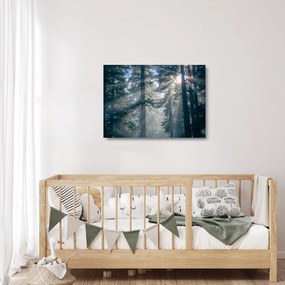 Fák képe a ragyogó nappal (üvegen) (70x50 cm)