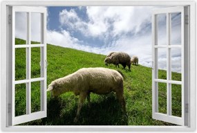 Poszterek 120x80 Juhok a legelőn