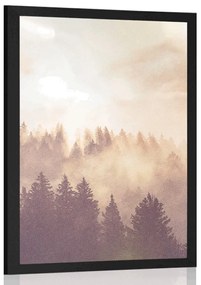 Poszter köd az erdő felett