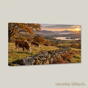 Aranyló Legelő falikép – Kézzel készült minőség 40x23 cm