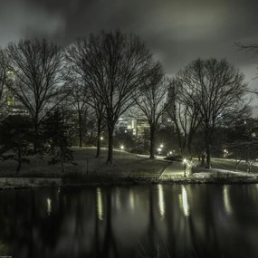 Poszter 40x40cm Central Park éjszaka 2, Assaf Frank