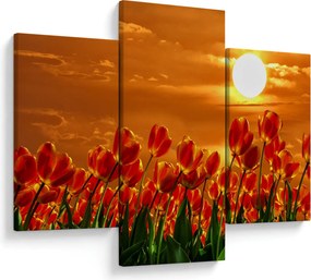 Kép egy virágzó mező tulipánokkal (90x60 cm)