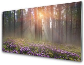 Üvegkép Forest Nature Flowers Plant 100x50 cm 2 fogas