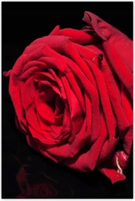 Poszterek 80x120 Nőnap Ajándék Love