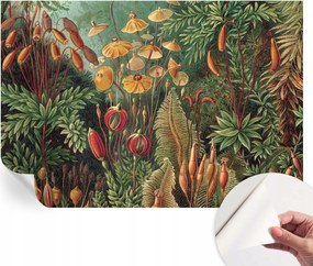 Fotótapéta Öntapadós Dekoratív tapéta Egzotikus kert 152x104 cm