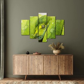 Kígyó képe (150x105 cm)