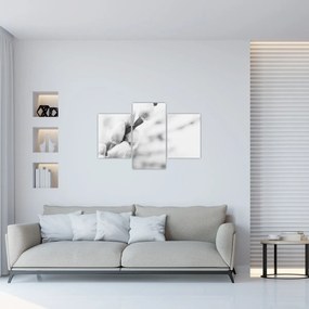 Kép - A tavasz kezdete (90x60 cm)