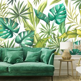 Gario Fotótapéta Zöld monstera fehér alapon Anyag: Vlies, Méret: 100 x 70 cm