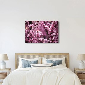 Kép - Rózsaszín sakura (90x60 cm)