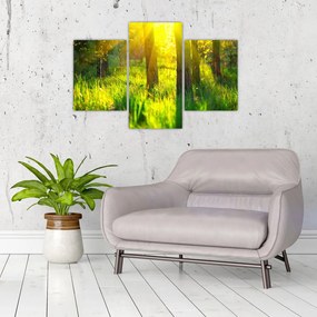 Kép - Az erdő tavaszi ébredése (90x60 cm)