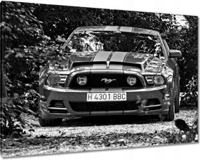 Képek 100x70 Ford Mustang