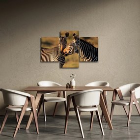 Kép - Két zebra (90x60 cm)