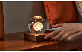 Sötétbarna szabályozható asztali lámpa üveg búrával (magasság 12 cm) Amber – Gingko