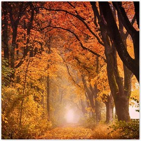 Poszterek 30x30 Ćszi kilĂĄtĂĄs